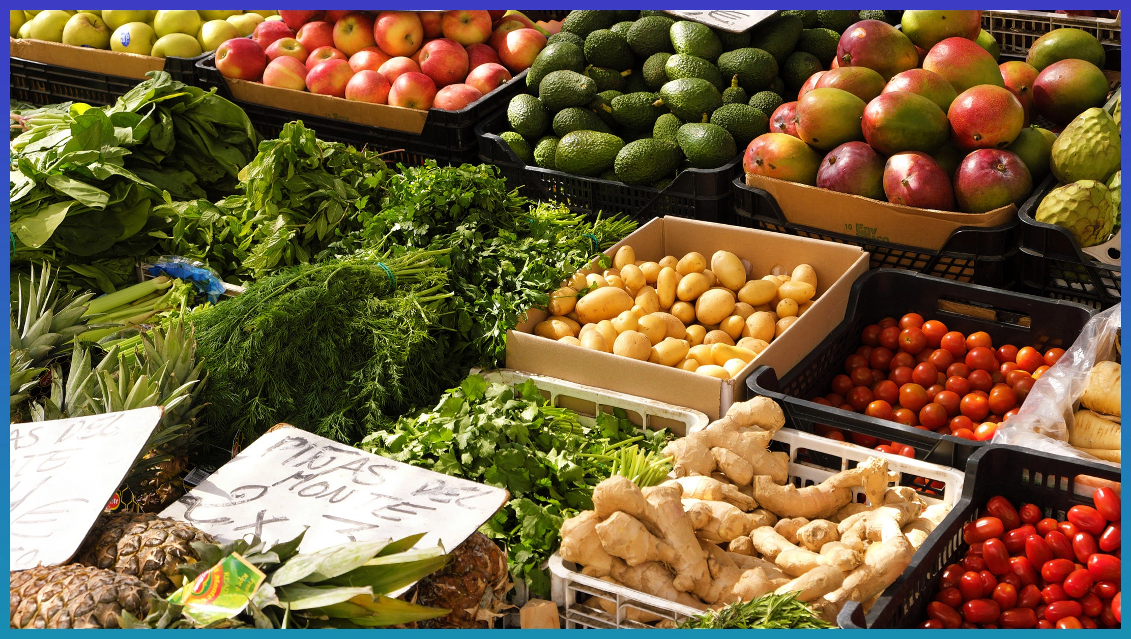 Enabling Real-Time Decision Making in Grocery Operations